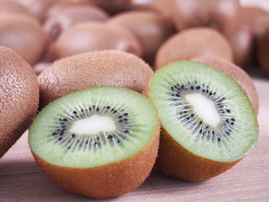 kyos! 3点おまとめ買い アニエスベー オニギリ ジャーナル OSAJI〈オサジ〉 | Yuzu〈ユズ〉シリーズ【数量限定】